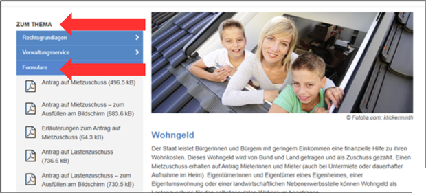 Screenshot Infoseite Wohngeld